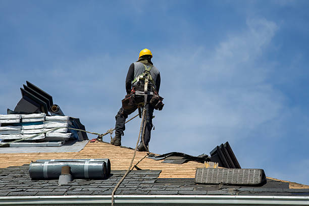 Professional Storm Damage Roof Repair technician working in Linden, MI